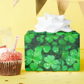 Irish Good Luck Four-Leaf Clovers