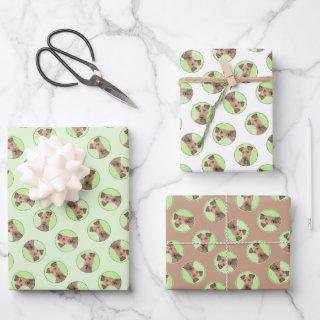 Irish Terrier  Sheets