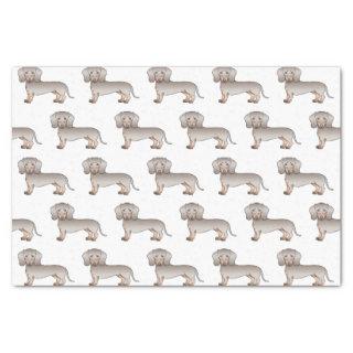Isabella And Tan Smooth Coat Dachshund Dog Pattern Tissue Paper