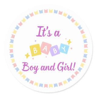 It’s a Baby Boy and Girl Twins  Classic Round Sticker
