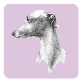 Italian Greyhound Whippet dog portrait drawing art Square Sticker
