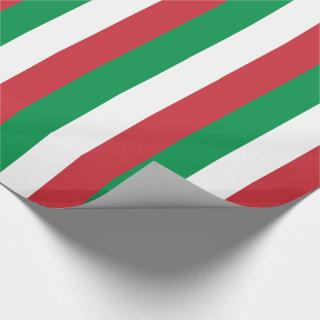 Italy Flag
