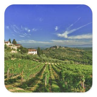 Italy, Tuscany, Greve. The vineyards of Castello Square Sticker