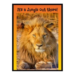 It's a Jungle out there! Poster