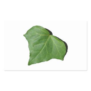 Ivy Leaf Rectangular Sticker