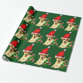 Jack Russell Terrier Christmas