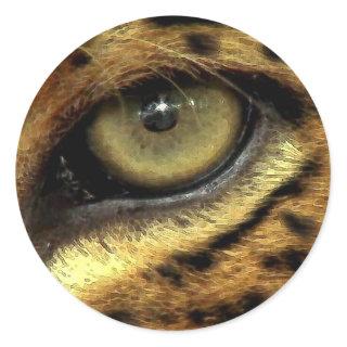 Jaguar Eye Endangered Species Stickers