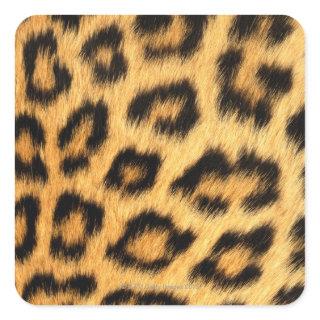 Jaguar Fur Square Sticker