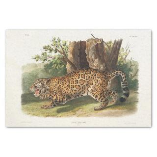 Jaguar of North America (1845) Decoupage Tissue Paper