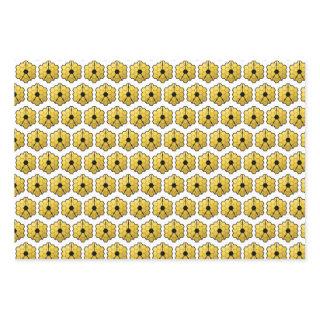 James Webb Space Telescope JWST Mirror Pattern  Sheets