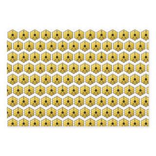 James Webb Space Telescope JWST Mirror Pattern  Sheets