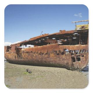 Janie Seddon Shipwreck, Motueka, Nelson Square Sticker