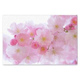 Japanese Cherry Tree Blossom Tissue Paper