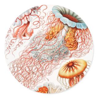 Jellyfish, Discomedusae by Ernst Haeckel Classic Round Sticker