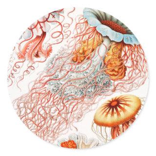 Jellyfish, Discomedusae by Ernst Haeckel Classic Round Sticker