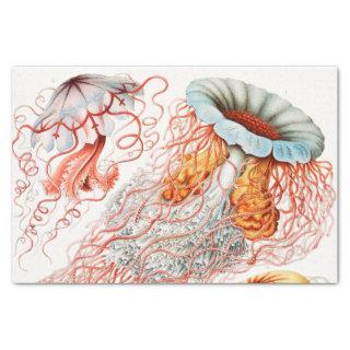 Jellyfish, Discomedusae by Ernst Haeckel Tissue Paper