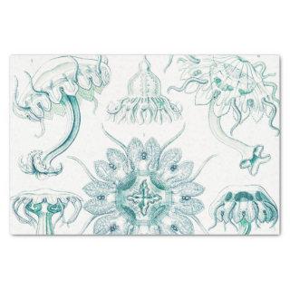Jellyfish, Discomedusae by Ernst Haeckel Tissue Paper