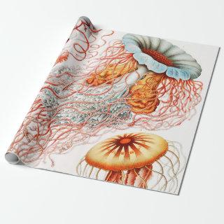 Jellyfish, Discomedusae by Ernst Haeckel