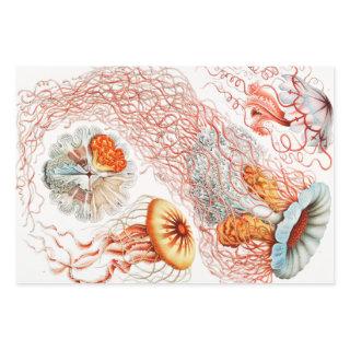 Jellyfish, Discomedusae by Ernst Haeckel  Sheets