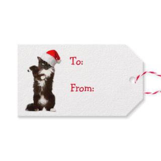 Jingle Bell Rock Cat Gift Tags
