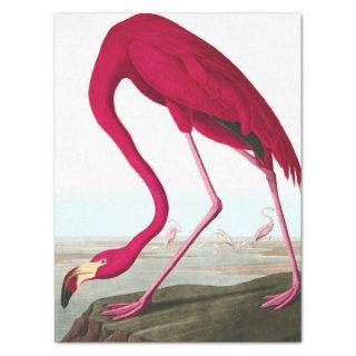 John James Audubon Flamingo Pink Artwork Decoupage Tissue Paper