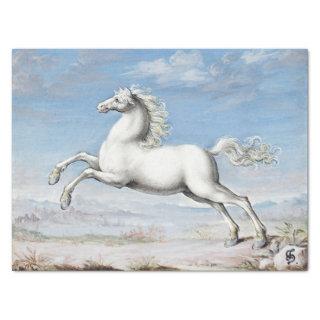 Joris Hoefnagel | White Horse - 1552 and 1601 Tissue Paper