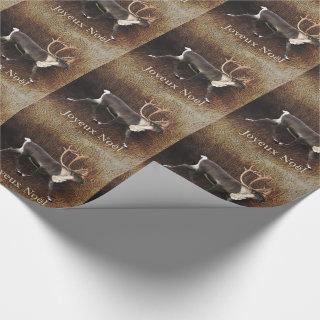 Joyeux Noёl - Bull Caribou (Reindeer)