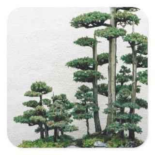 Juniper Bonsai Forest Square Sticker