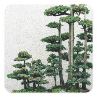 Juniper Bonsai Forest Square Sticker