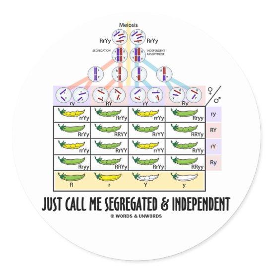 Just Call Me Segregated and Independent (Dihybrid) Classic Round Sticker