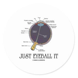 Just Eyeball It (Eye Anatomy Approximation Saying) Classic Round Sticker