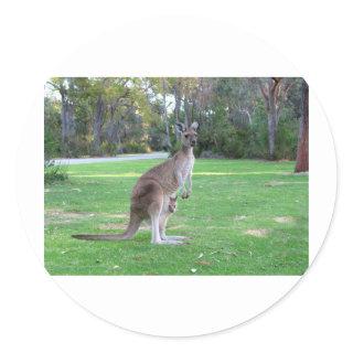 Kangaroo and Joey Classic Round Sticker