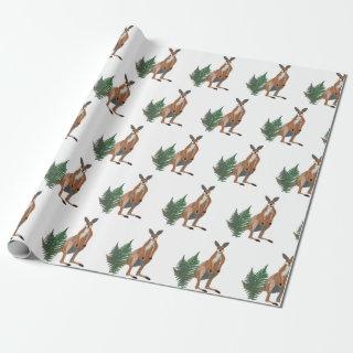 Kangaroo Drawing