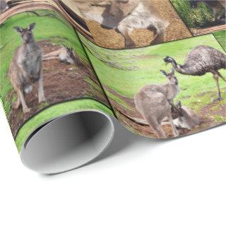 Kangaroo Photo Collage