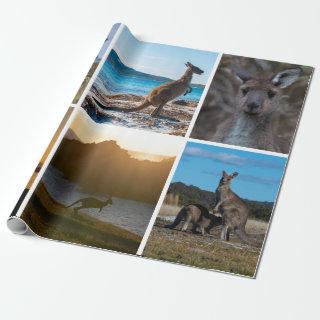 Kangaroos of Australia