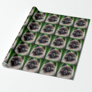 Keeshond Dog in St. Patrick's Day Dress
