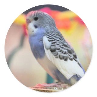 Keet Classic Round Sticker