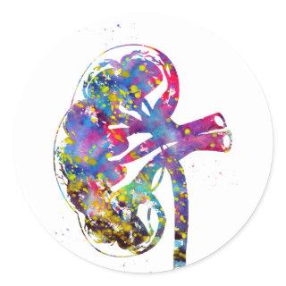 Kidney section classic round sticker