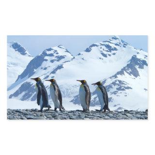 King Penguins at South Georgia Rectangular Sticker