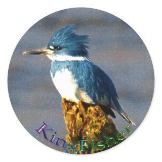 Kingfisher Bird Wildlife Sticker