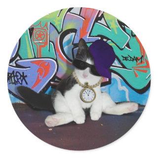 Kitten With Cat Attitude  Classic Round Sticker