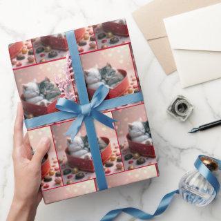 Kittens In a Red Heart Candy Box