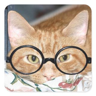 Kitty with glasses square sticker