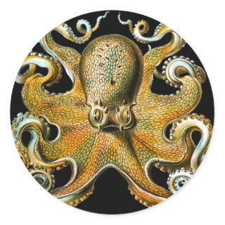 Kraken Octopus | Cool Animal Classic Round Sticker