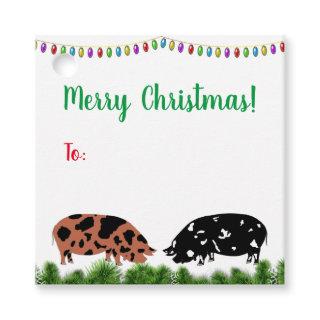 KuneKune Pig Christmas Gift Tag