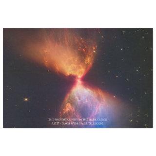 L1527 and Protostar - James Webb Space Telescope Tissue Paper