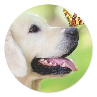 Labrador And Butterfly Throw Pillow Classic Round Sticker