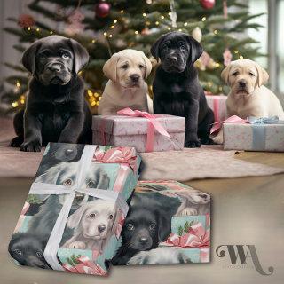 Labrador Puppies in 3 colors
