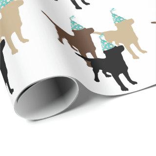 Labrador Retrievers In Birthday Party Hat