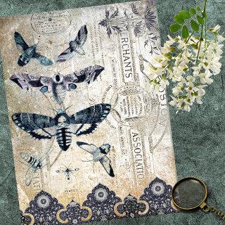 LACE AND MOTHS VINTAGE APOTHERCARY TISSUE PAPER